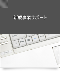 新規事業サポート